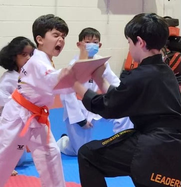 How Taekwondo Builds Emotional Resilience