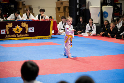 Taekwondo Stance and Form Checker